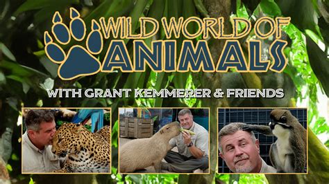 Wild World of Animals with Grant Kemmerer & Friends | American Music ...