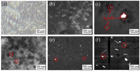 Materials Free Full Text Anodic Electrodeposition Of Chitosan Agnp Composites Using In Situ