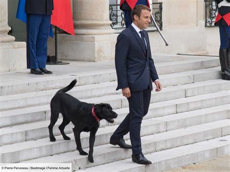 Emmanuel Et Brigitte Macron D Couvrez La Photo De Leurs Nouveaux