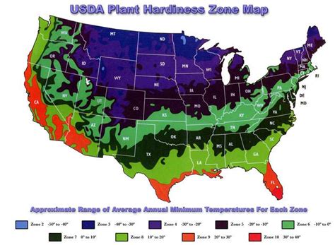 Plant Hardiness Zones By Zip Code 2024 Susy Zondra