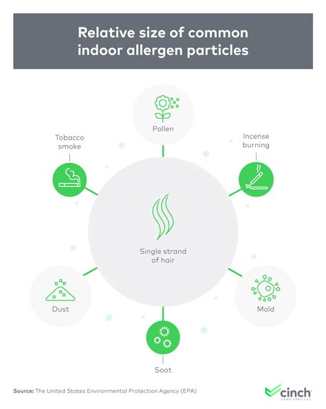 Guide to Reducing Allergens in Your Home and Improving Indoor Air Quality