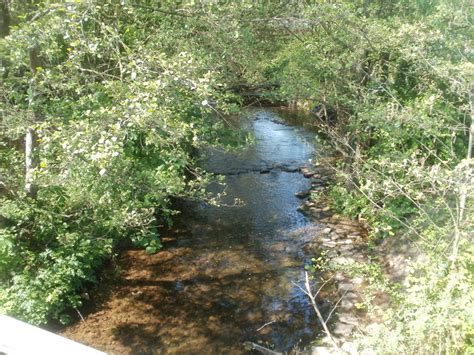 Bettws Brook Flows Towards Lambourne Jaggery Cc By Sa