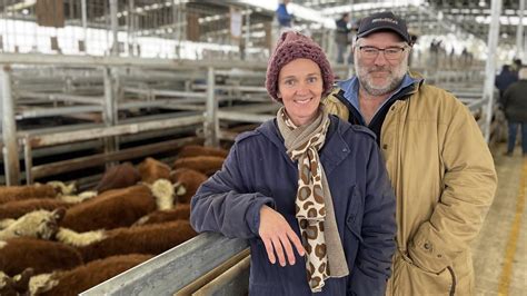 Mortlake Store Cattle Sale Yarding Surges To 4000 The Weekly Times