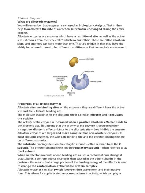 Allosteric Enzymes | PDF | Enzyme | Binding Site