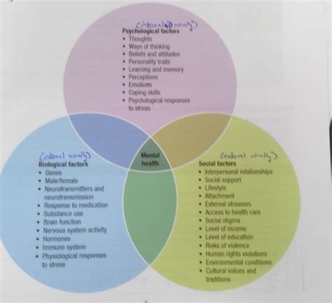 Psych Ch12 Flashcards Quizlet