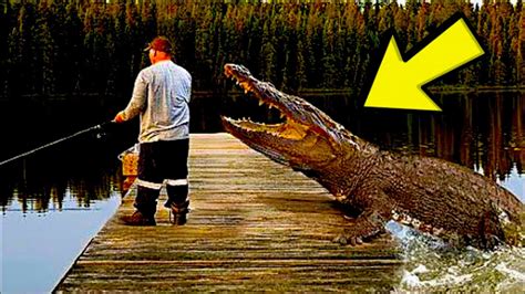 Рыбак услышал что-то позади себя, когда он обернулся, то было уже ...