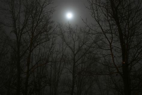 Full Moon on a Foggy Night