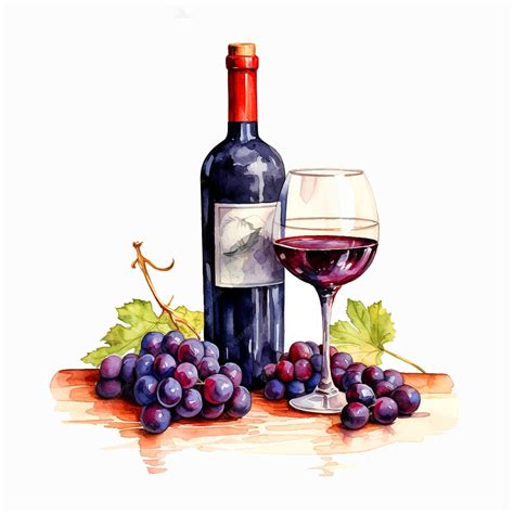 Premium Vector | Bottle of wine and grapes watercolor painting