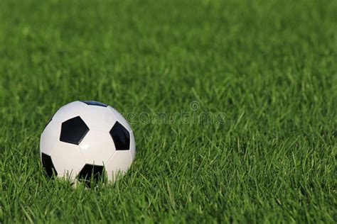 Pallone Da Calcio Sul Campo Con La Linea Delle Yard Calcio Su Erba