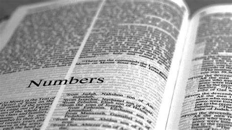 Detailed Outline Of The Book Of Numbers Journey To The Promise Land