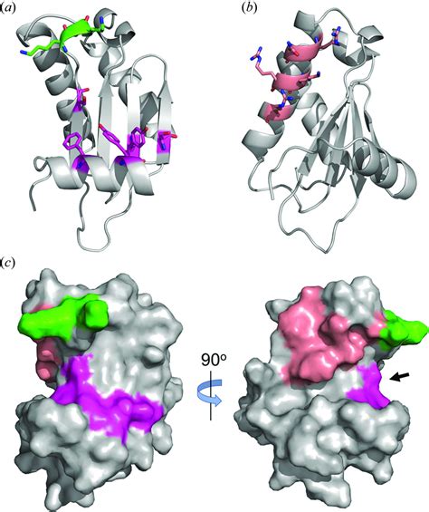 Iucr Crystal Structure Of The Ribonuclease P Protein Subunit From