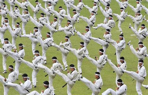 korean royal court martial arts - annalealyon