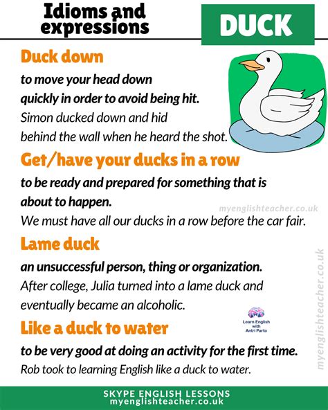 17 DUCK Idioms And Expressions My Lingua Academy