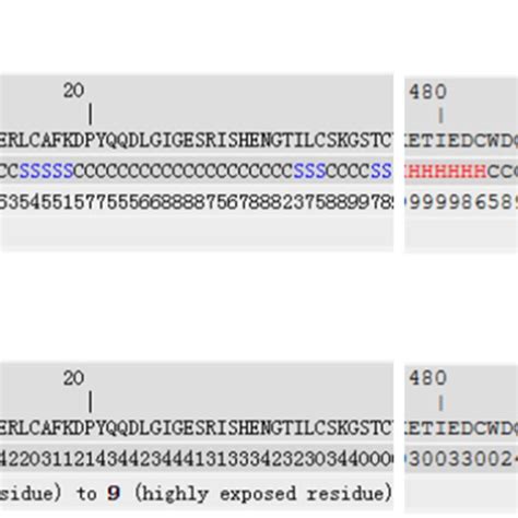 Predicted Secondary Structure And Solvent Accessibility Predicted By