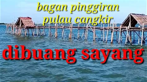 MOMEN MANCING DI BAGAN Pulau Cangkir Lilimashuri6253 YouTube