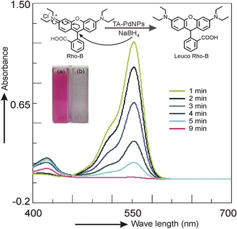 Green Synthesis Of Terminalia Arjuna Conjugated Palladium Nanoparticles