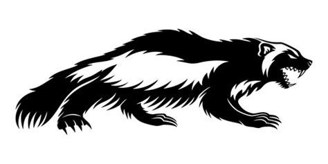 Wolverine Animal Vector Images (over 280)