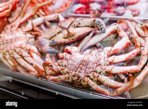 Fresh Delicious Seafood Crab On A Showcase For Sale Stock Photo Alamy