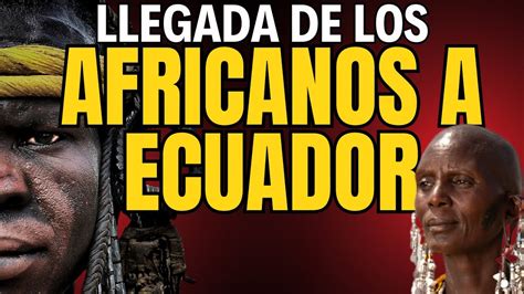 Llegada De Los Primeros Africanos A Ecuador La Impactante Historia