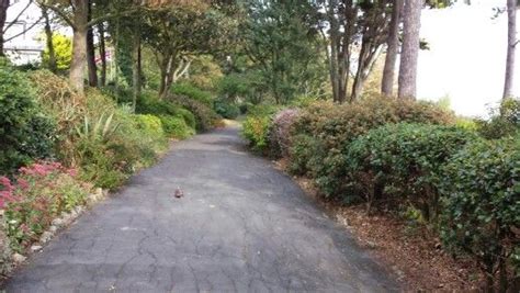 Nothe Fort Gardens Weymouth | Sidewalk, Heaven, Fort