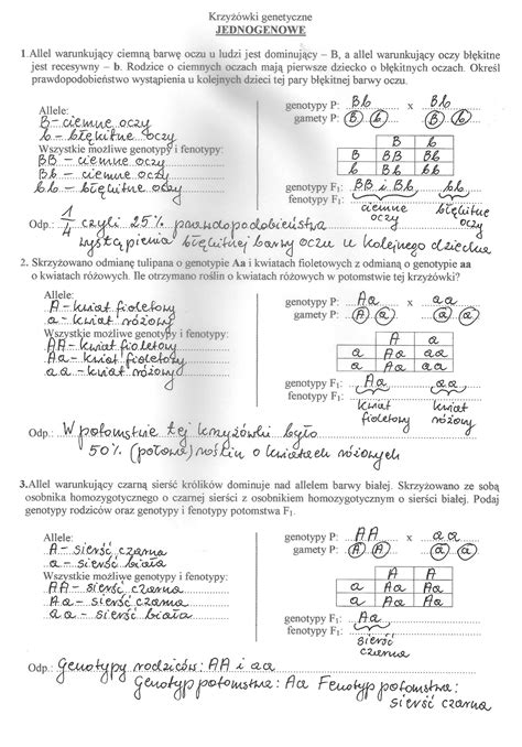 Kartkówka Z Biologii Klasa 8 Genetyka