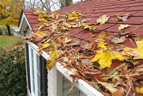 How A Fall Roof Inspection Can Prepare Your Roof For Winter