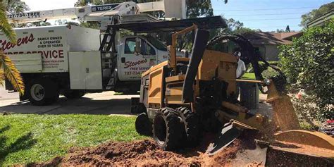 Can You Plant A Tree On The Spot Where A Stump Was Removed