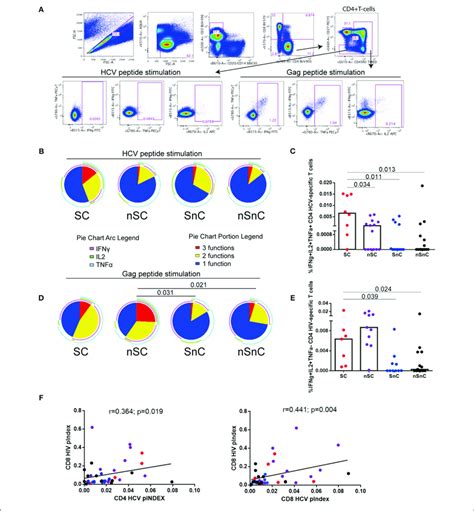 Hcv And Hiv Cd Specific T Cells A Gating Stratregy B