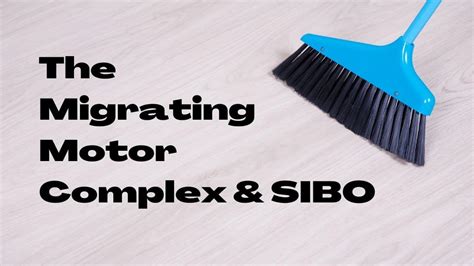 The Migrating Motor Complex (MMC) and SIBO - Gut Health And Nutrition