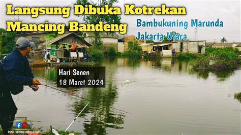 Just Info Kotrekan Ikan Bandeng Bambukuning Marunda Alhamdulillah