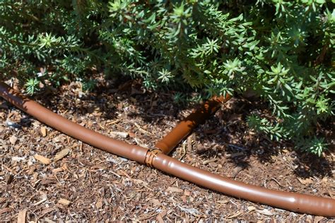 Mm Barbs Fittings Drip Irrigation Dig