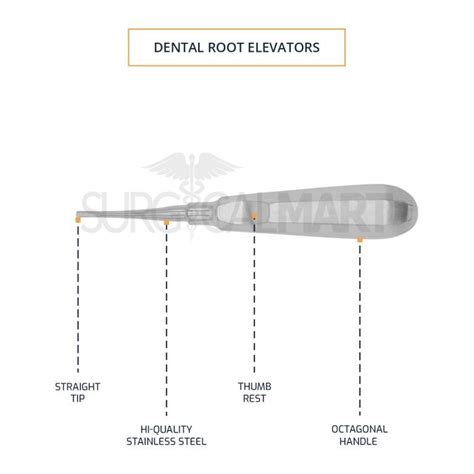 Apical Root Elevator 301 Straight Small 2 5mm Tip Surgical Mart