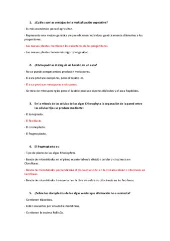 Examen 1o Cuatri Pdf