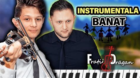 Fratii Dragan Instrumental Banat Youtube