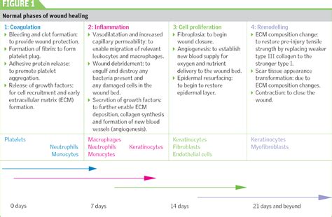 Figure 1 From Wound Debridement A Clinical Update Semantic Scholar