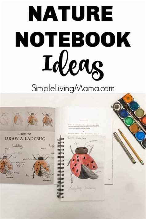 Nature Notebook Ideas Simple Living Mama