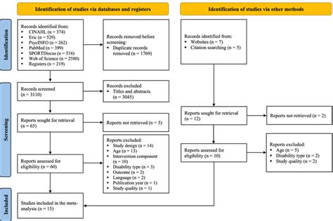 The Prisma Flow Diagram Of The Search And Screening Process Download