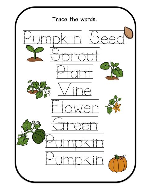 Life Cycle Of A Pumpkin Worksheet Free