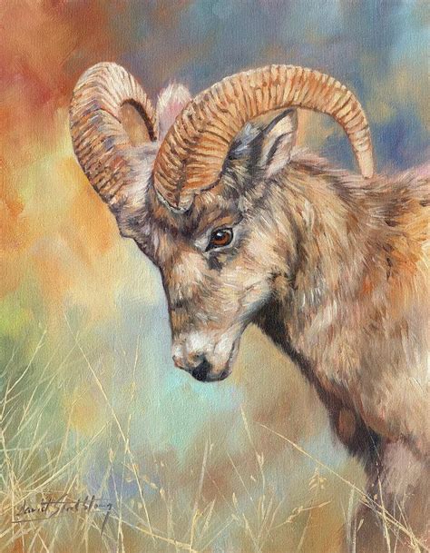 Bighorn Sheep Painting By David Stribbling Fine Art America