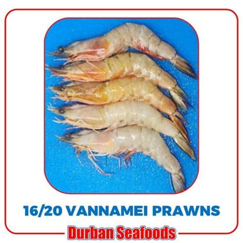 16/20 VANNAMEI PRAWNS 800g – Durban Seafoods