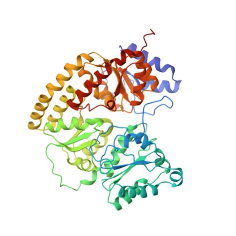 RCSB PDB 1N2C NITROGENASE COMPLEX FROM AZOTOBACTER VINELANDII