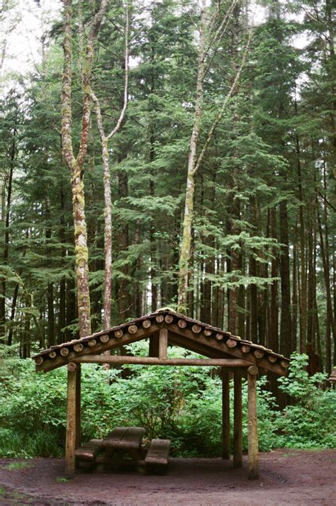 Rain Shelter In Oregon Forest Entouriste