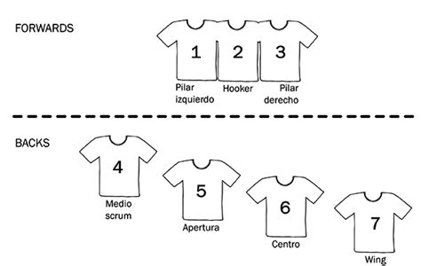 Las Posiciones Del Rugby Y Sus Funciones As Se Juega