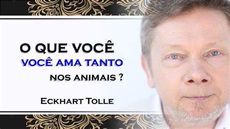 Eckhart Tolle Porque Amamos Tanto Os Animais Eckhart Tolle