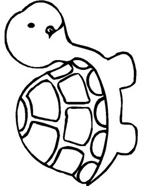 Easy Turtle Coloring Pages For Kids 719