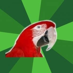 Create Meme Bird Parrot Parrot Pictures Meme Arsenal