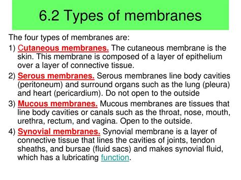 types  body membrane  diana kearns blog