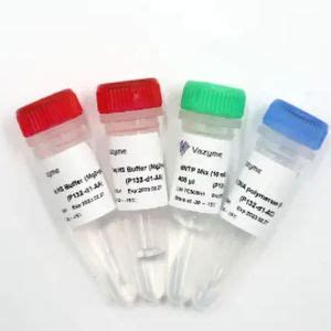 Kit Di Reagenti Dna Polimerasi Qn Series Vazyme Medical Co Ltd