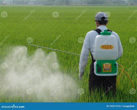 Farmer Spray Insecticide Into Rice Farm Chemical Electric Sprayer