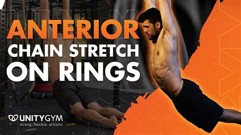 Anterior Chain Stretch On Rings Trumps All Flexibility Exercises Youtube